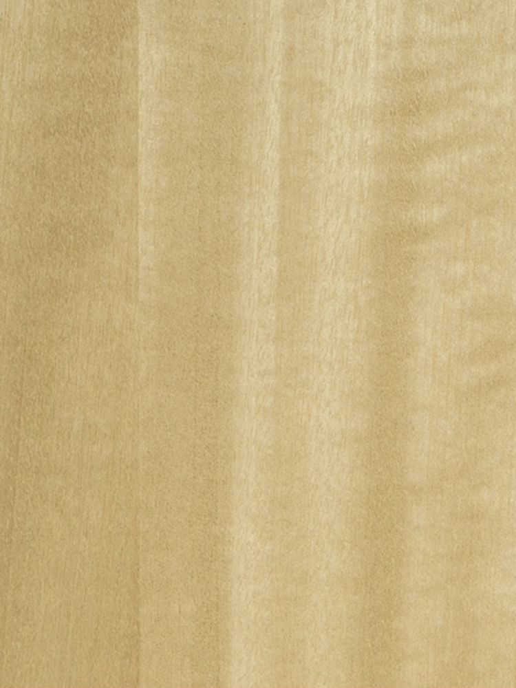 Dyed Aniegre 03